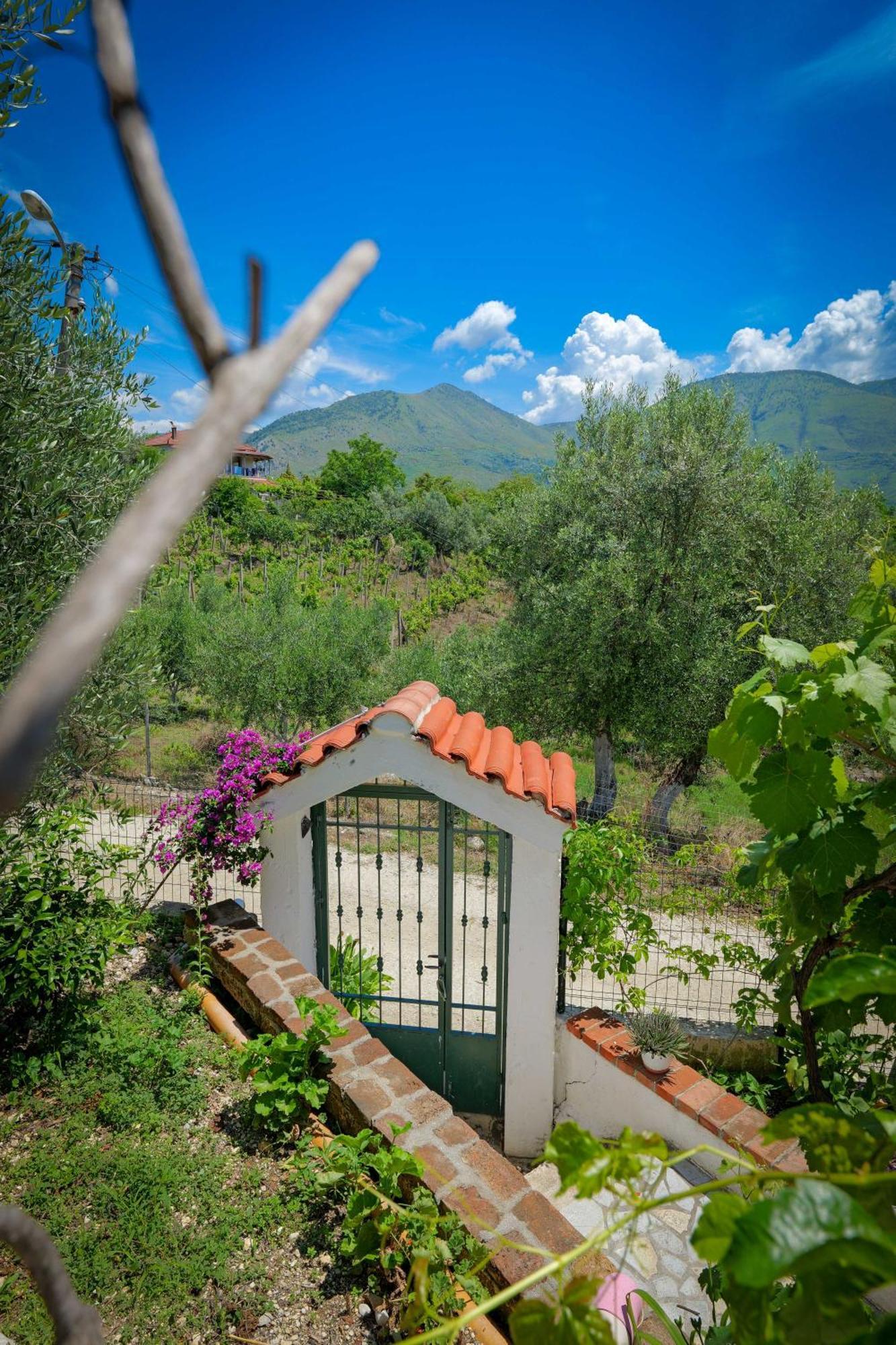Shena The Farm Boutique Hotel Mesopotam Exterior photo